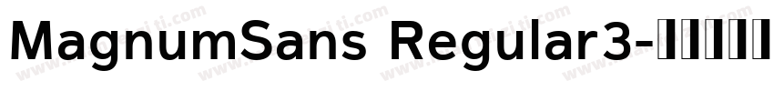 MagnumSans Regular3字体转换